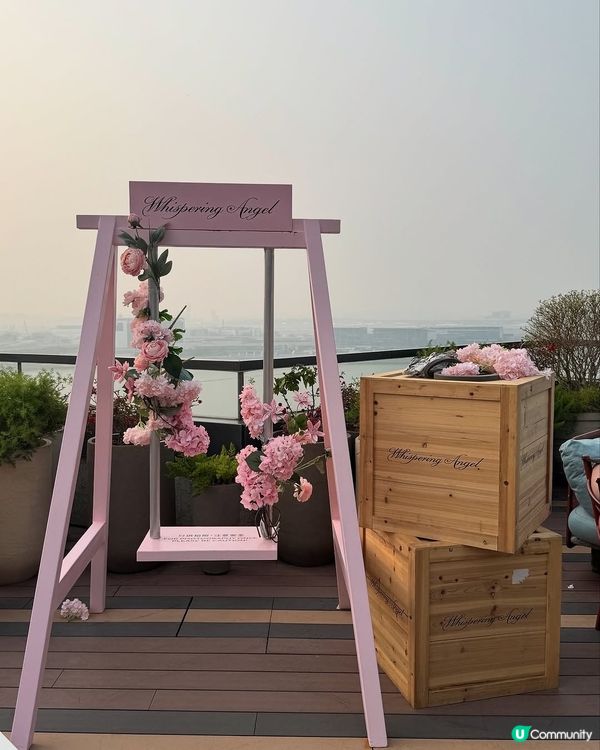 東涌嘆下午茶 💖  打卡鞦韆位