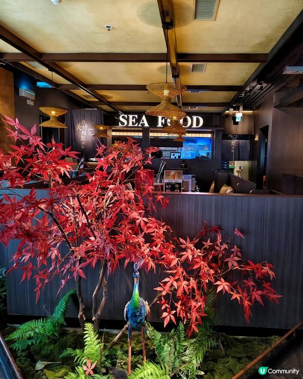 《一人一鍋半自助小火鍋》