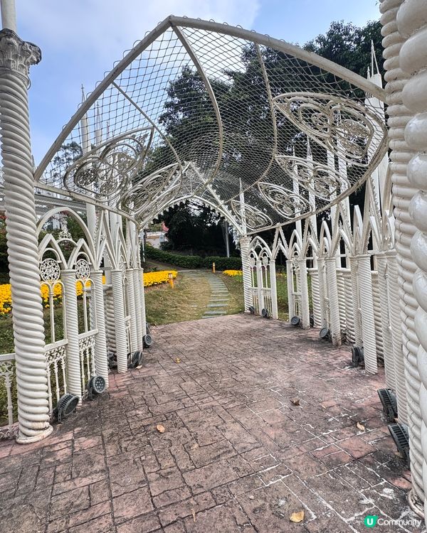 ✨✨東莞龍鳳山莊✨✨