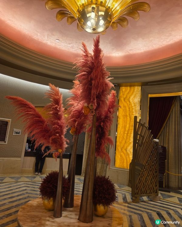 #澳門必食 #澳門必買 #澳門必玩 #澳門打卡 #葡撻 #豬...