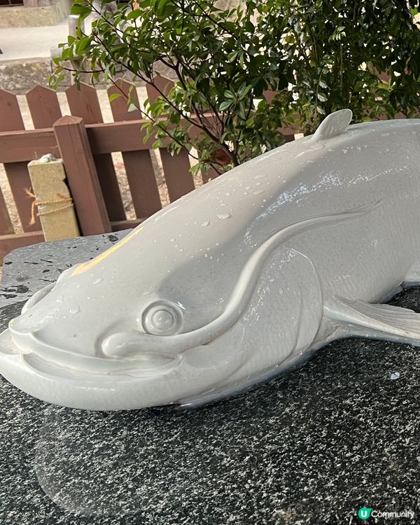 福岡佐賀深度遊