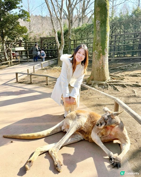 📍大分 - 九州自然動物公園