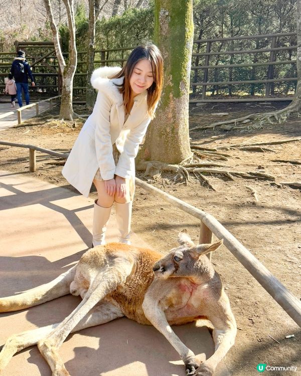 📍大分 - 九州自然動物公園