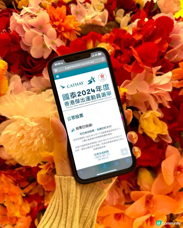 你投左票未呀？