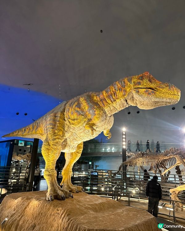 🇯🇵福井縣立🦖恐龍博物館體驗超正!太!震!撼!了!