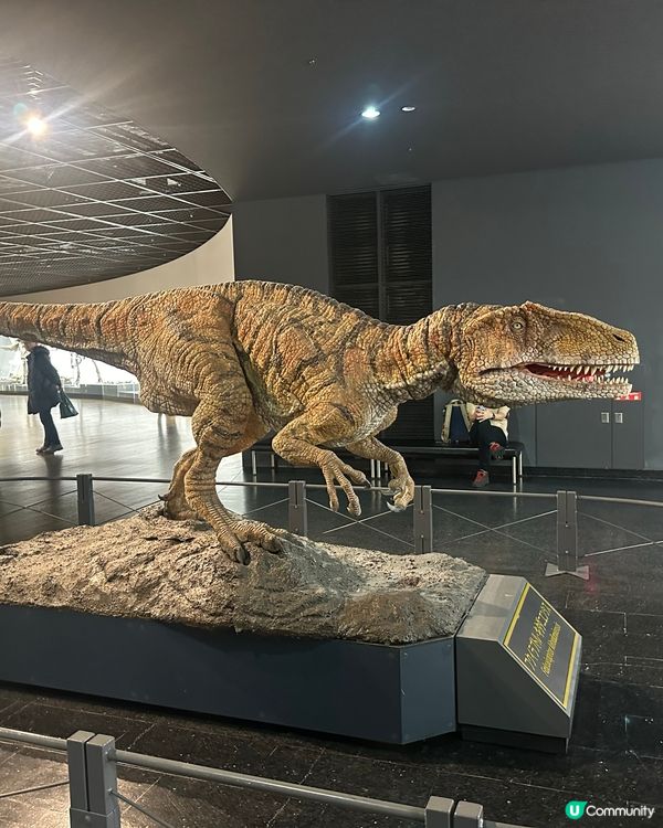 🇯🇵福井縣立🦖恐龍博物館體驗超正!太!震!撼!了!