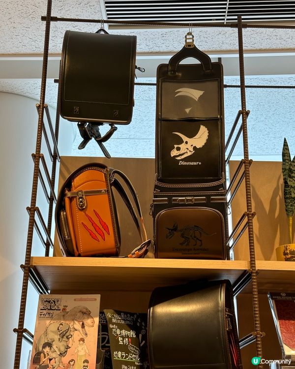 🇯🇵福井縣立🦖恐龍博物館體驗超正!太!震!撼!了!