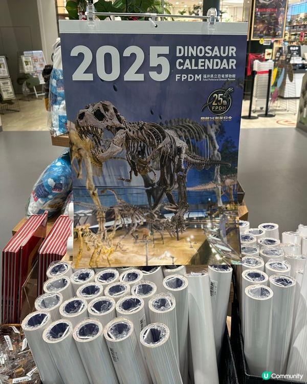 🇯🇵福井縣立🦖恐龍博物館體驗超正!太!震!撼!了!