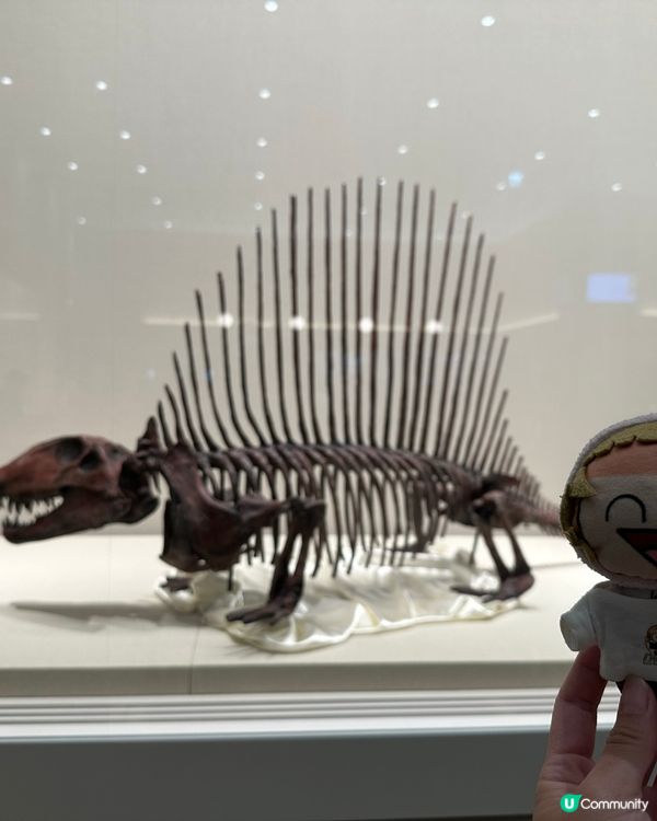 🇯🇵福井縣立🦖恐龍博物館體驗超正!太!震!撼!了!