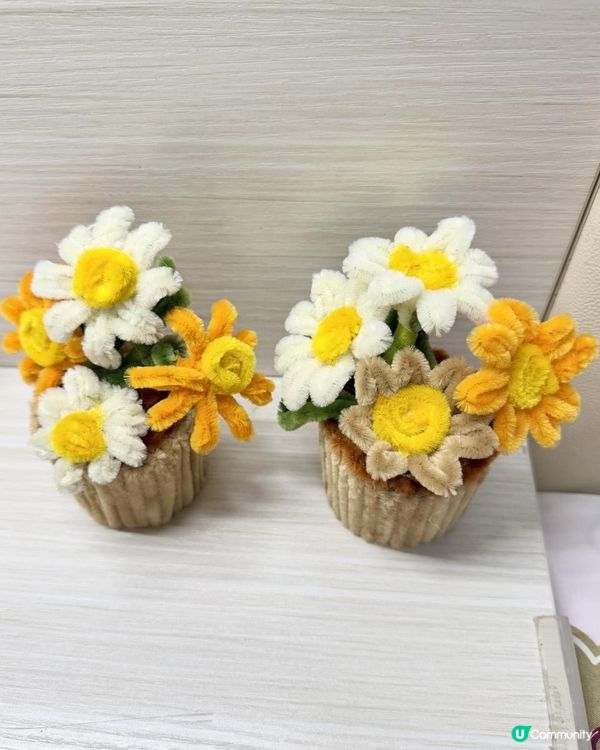 🪴🌼DIY《絨毛條雛菊》盆栽小擺設🌼🪴