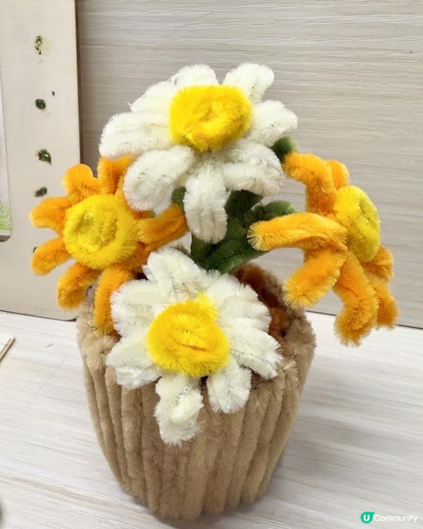 🪴🌼DIY《絨毛條雛菊》盆栽小擺設🌼🪴