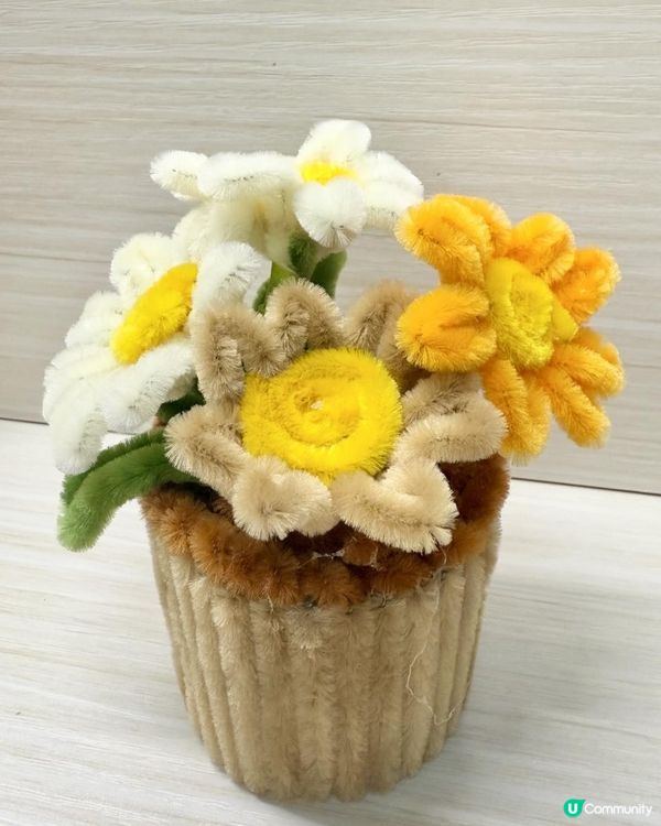 🪴🌼DIY《絨毛條雛菊》盆栽小擺設🌼🪴