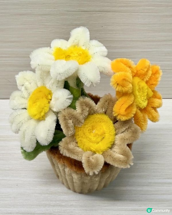 🪴🌼DIY《絨毛條雛菊》盆栽小擺設🌼🪴