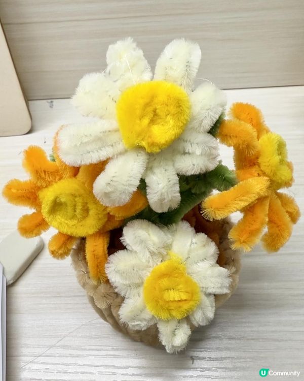 🪴🌼DIY《絨毛條雛菊》盆栽小擺設🌼🪴