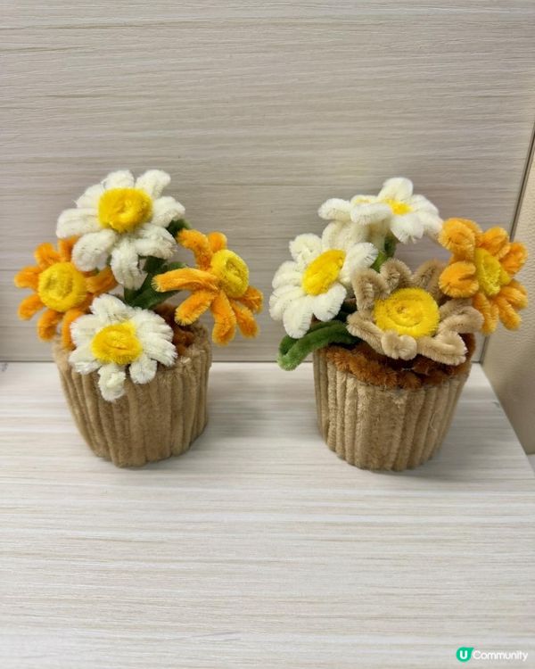🪴🌼DIY《絨毛條雛菊》盆栽小擺設🌼🪴