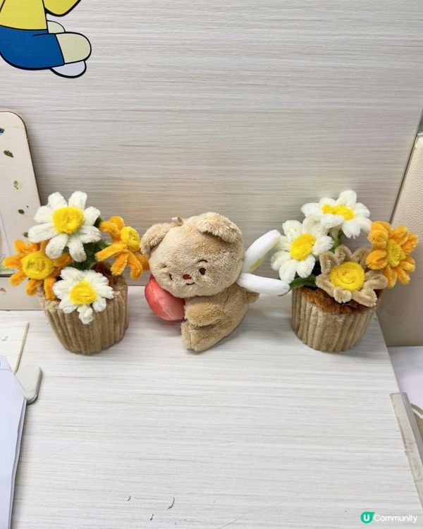 🪴🌼DIY《絨毛條雛菊》盆栽小擺設🌼🪴