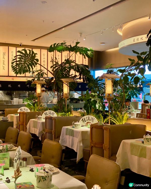 ✨深圳🇨🇳-⚠️💬好食油渣干锅花菜⁉️💢高質抵食杭幫菜‼️📣📍桂滿隴