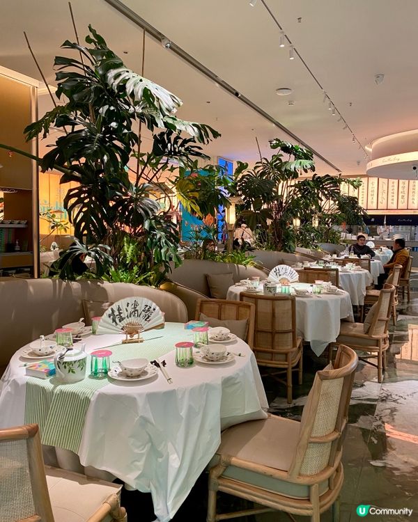 ✨深圳🇨🇳-⚠️💬好食油渣干锅花菜⁉️💢高質抵食杭幫菜‼️📣📍桂滿隴