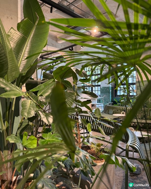 松山文創園區打卡📸 文青必去！