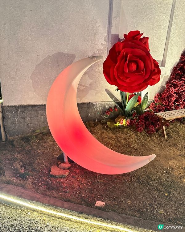 千尺複式獨立別墅私家溫泉♨️