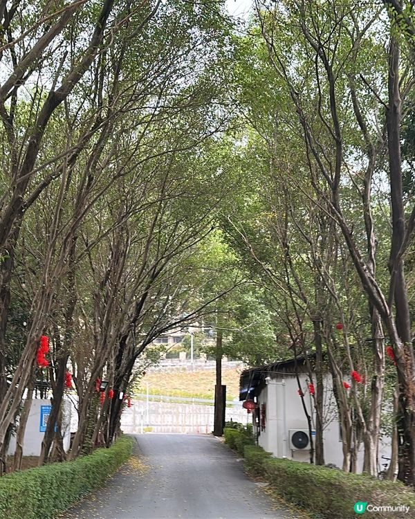 千尺複式獨立別墅私家溫泉♨️