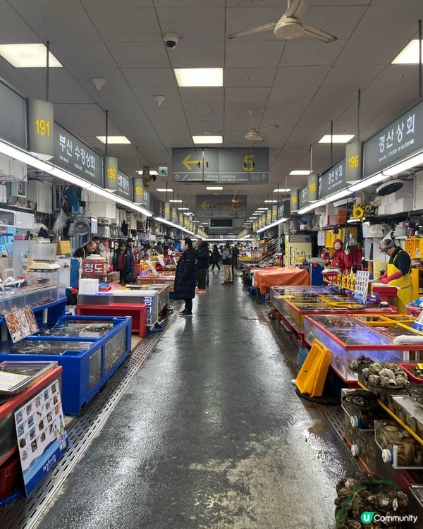 釜山魚市場