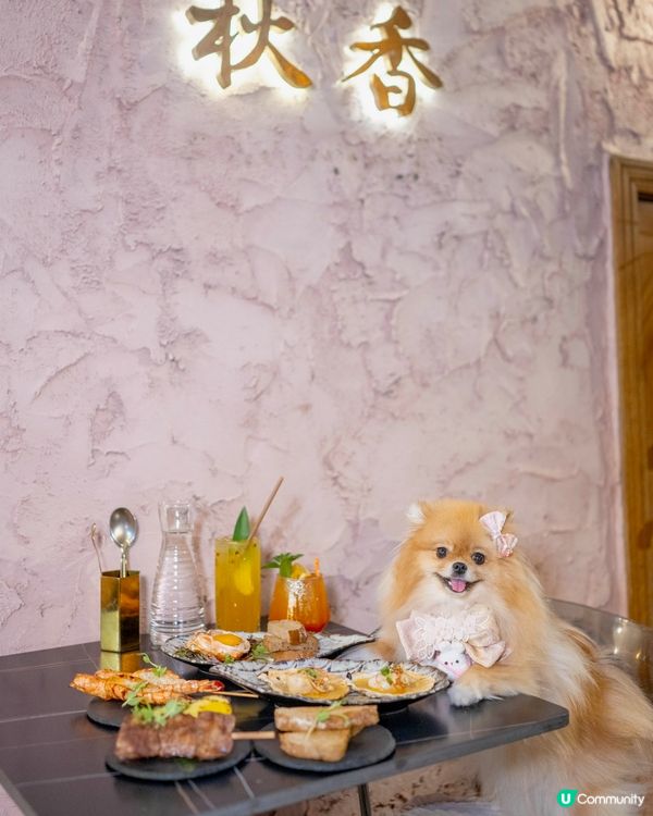 屯門唐伯虎點秋香居酒屋 🥢  白鱔煲仔飯正到爆！