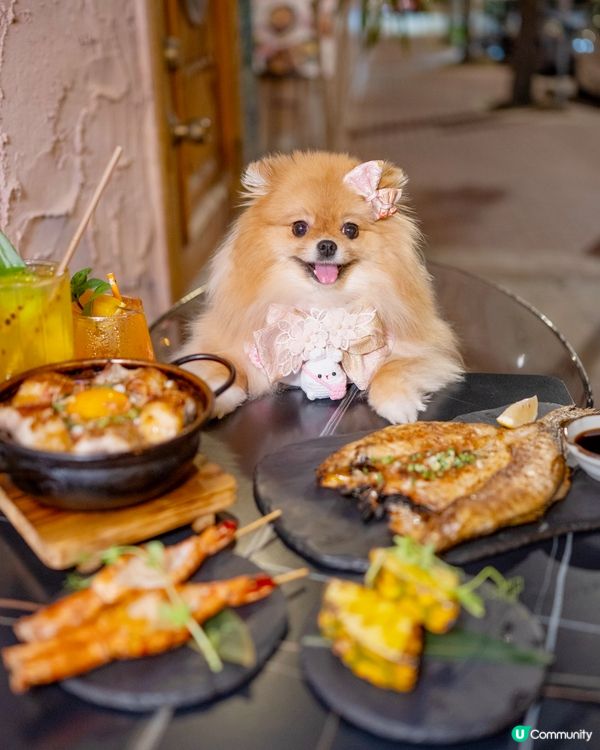 屯門唐伯虎點秋香居酒屋 🥢  白鱔煲仔飯正到爆！