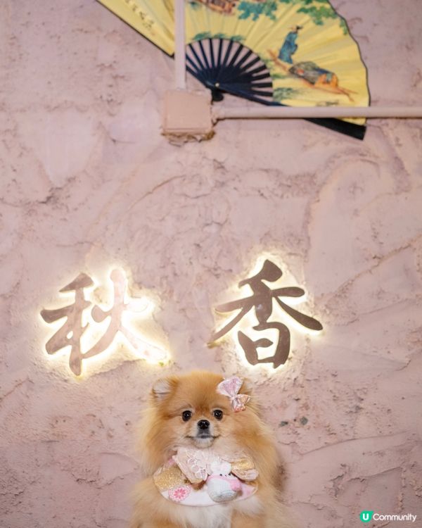 米蘇蘇就係秋香姐？🤣