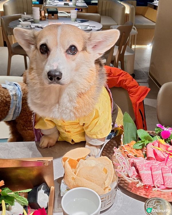 四面泰仿身置於泰國渡假feel