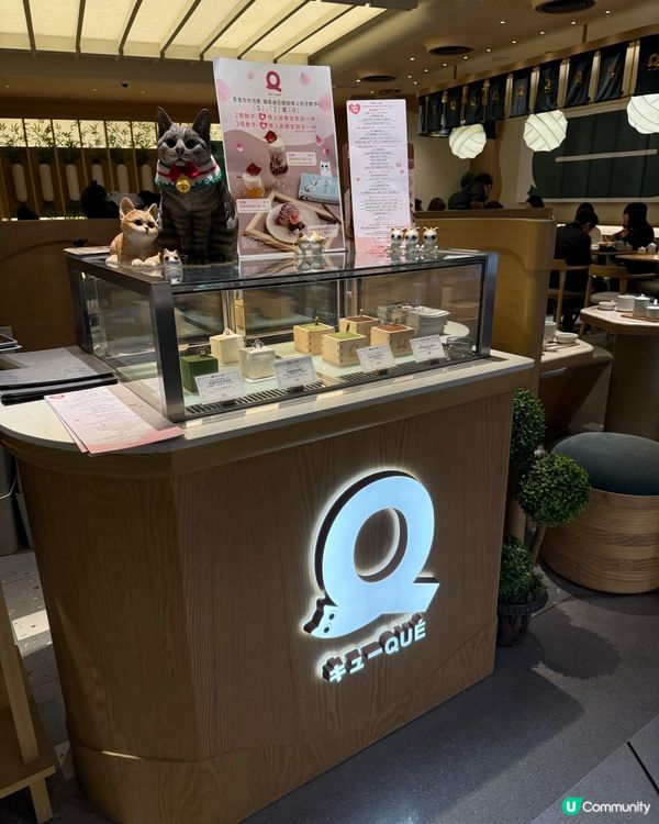 🌟【QUE @希慎廣場】黑松露迷嘅天堂!