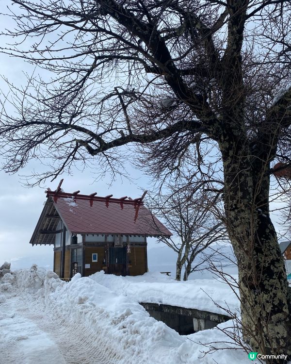 秋田縣➡️田沢湖