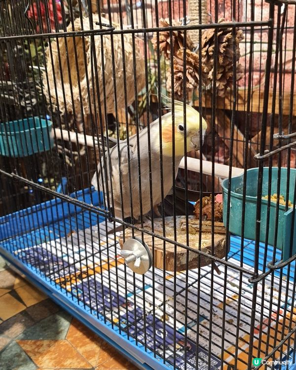 銅鑼灣藝術餐廳打卡 🎨🖼️