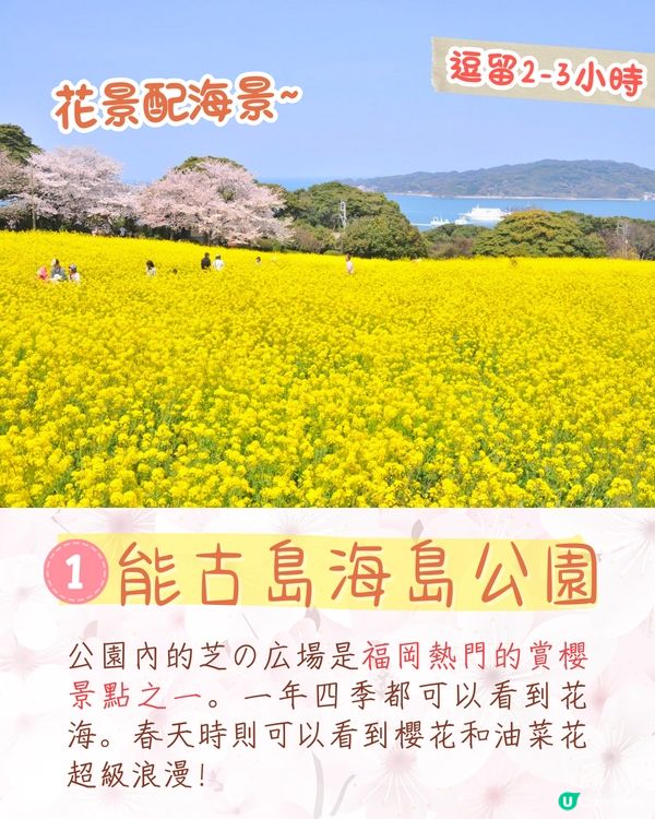 福岡賞櫻一日遊路線🌸花海美景/人氣櫻花祭/ 70+美食攤位🚗附交通資訊