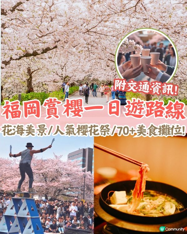 福岡賞櫻一日遊路線🌸花海美景/人氣櫻花祭/ 70+美食攤位🚗附交通資訊