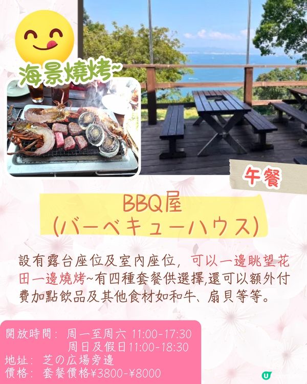 福岡賞櫻一日遊路線🌸花海美景/人氣櫻花祭/ 70+美食攤位🚗附交通資訊