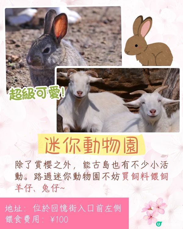 福岡賞櫻一日遊路線🌸花海美景/人氣櫻花祭/ 70+美食攤位🚗附交通資訊