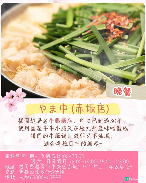 福岡賞櫻一日遊路線🌸花海美景/人氣櫻花祭/ 70+美食攤位🚗附交通資訊