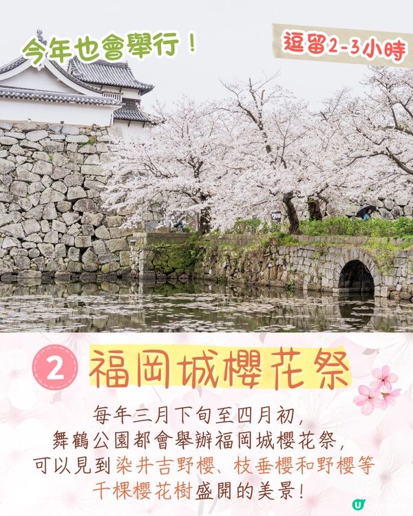 福岡賞櫻一日遊路線🌸花海美景/人氣櫻花祭/ 70+美食攤位🚗附交通資訊