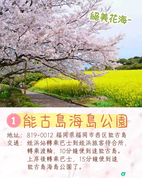 福岡賞櫻一日遊路線🌸花海美景/人氣櫻花祭/ 70+美食攤位🚗附交通資訊