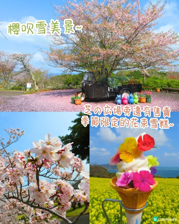 福岡賞櫻一日遊路線🌸花海美景/人氣櫻花祭/ 70+美食攤位🚗附交通資訊