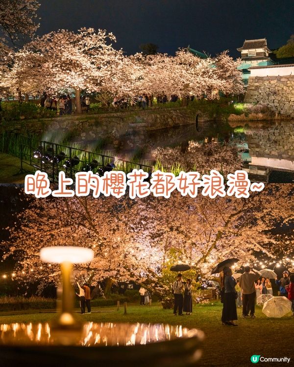 福岡賞櫻一日遊路線🌸花海美景/人氣櫻花祭/ 70+美食攤位🚗附交通資訊