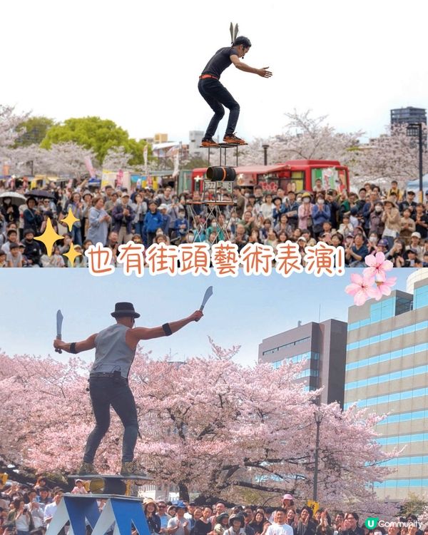 福岡賞櫻一日遊路線🌸花海美景/人氣櫻花祭/ 70+美食攤位🚗附交通資訊