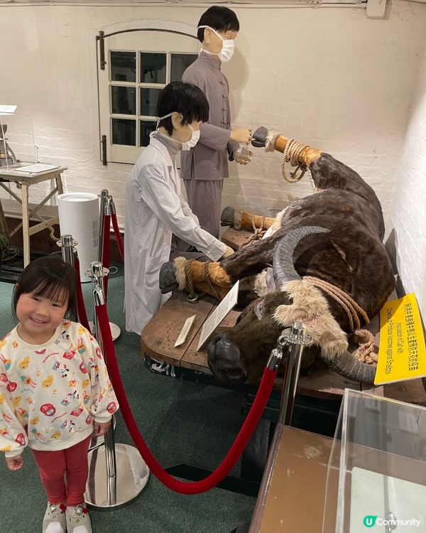 香港醫學博物館探險之旅 🏥