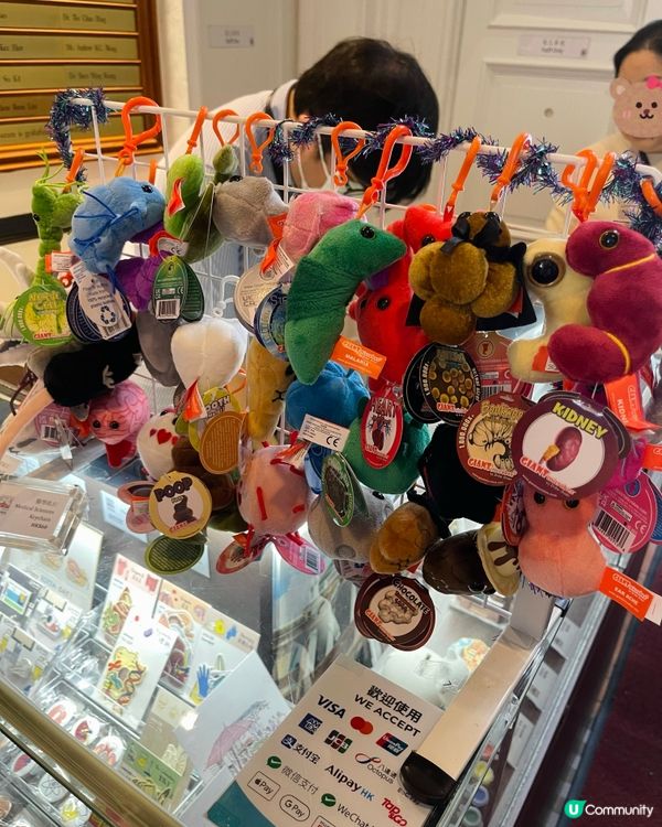 香港醫學博物館探險之旅 🏥