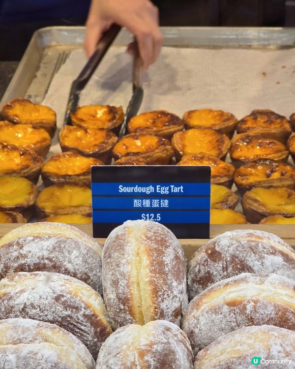 邊間蛋撻好食？