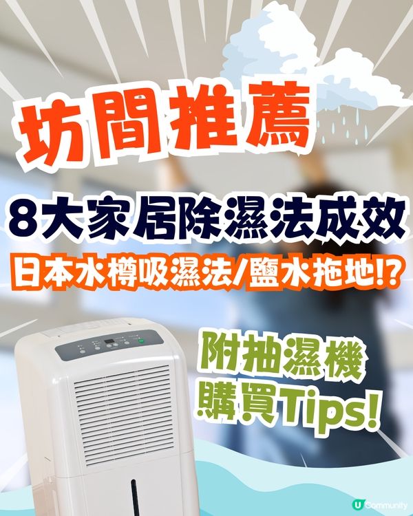 坊間8大家居除濕法成效💧日本水樽吸濕法有用嗎❓附抽濕機購買Tips