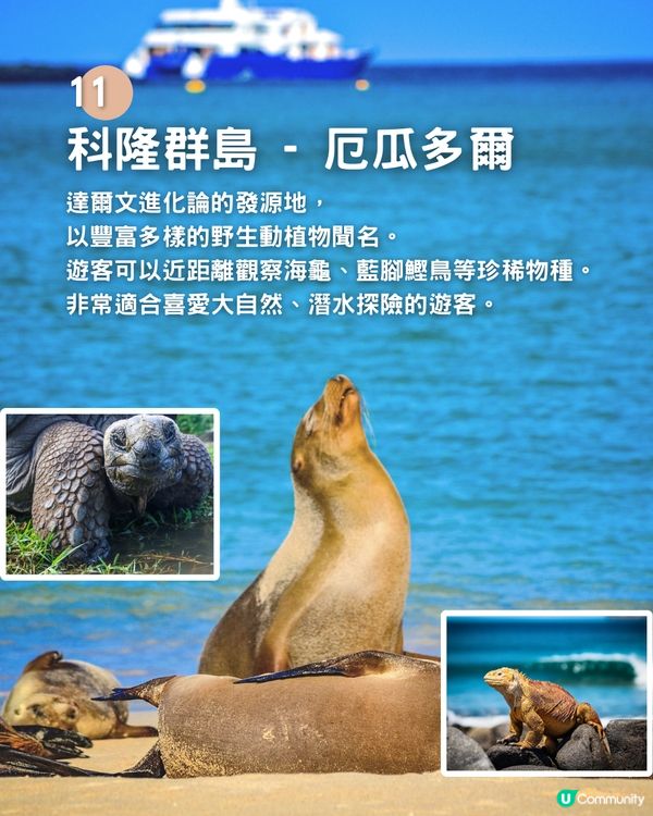 人生必去的13個地方🔥絕美天空之鏡/約旦古城/浪漫花都✈️你去過邊個地方❓