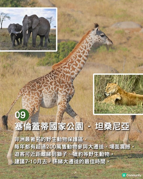 人生必去的13個地方🔥絕美天空之鏡/約旦古城/浪漫花都✈️你去過邊個地方❓