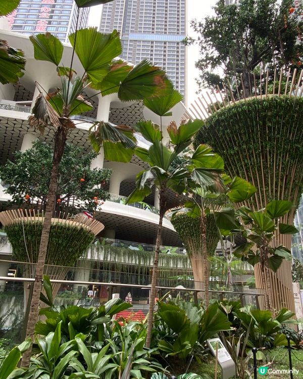 ✨深圳🇨🇳-⚠️💬超巨大黑臉琵鷺⁉️💢親子好去處📸📍坂田萬科廣場